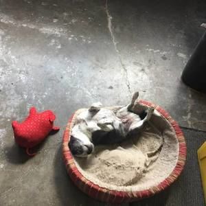 Meet your Posher, Abi